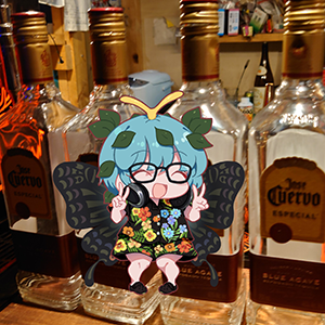 k9kidsマツモト (東方音王連合会)